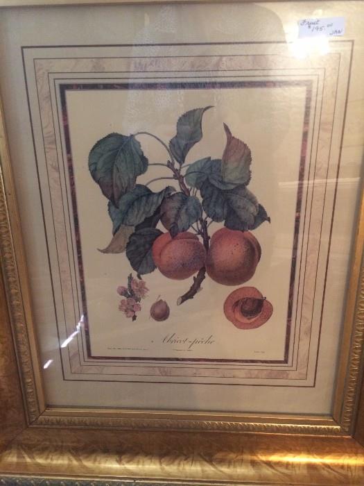 One of four beautifully framed fruit prints