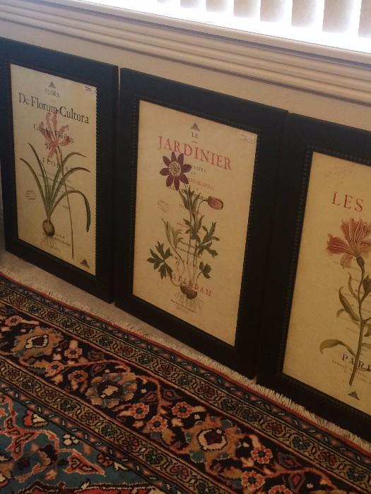 Three of four black framed botanical prints