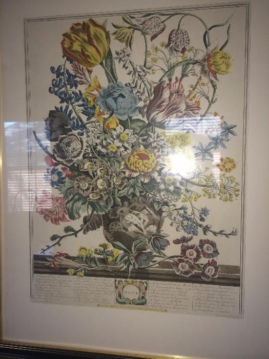 One of several botanical framed prints
