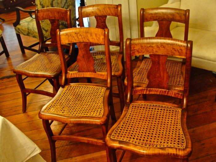 Set of Tiger Maple Chairs c. 1845