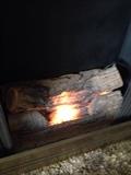 The light-up log insert for the fireplace - it is removeable.