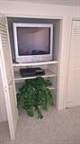 Television, VCR and plant