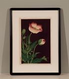 Ohara Shoson, Japanese woodblock print.