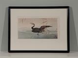Ohara Shoson, Woodblock print Cormorant