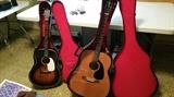 beginner guitars - Stella & Aria
