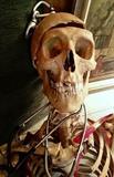 Charlie aka Henry the medical skeleton...