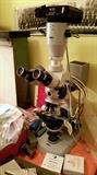 Zeiss microscope