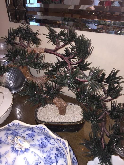 BONSAI TREE