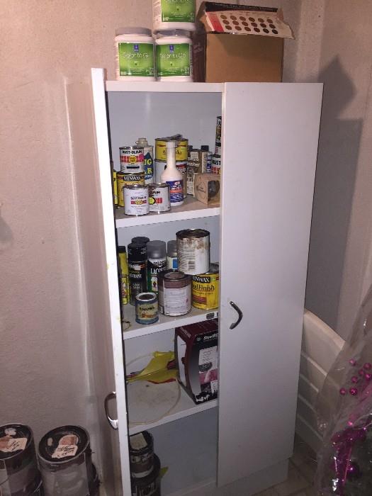 METAL CABINET AND SOME PAINT