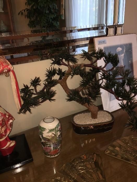 BONSAI TREE