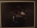 SHARON ANDERSON  LOONS #38/850  31" X 25"