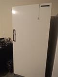 Upright freezer (older)