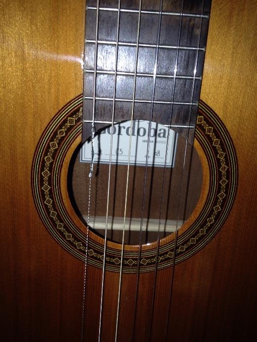 Cordoba Acoustical Guitar