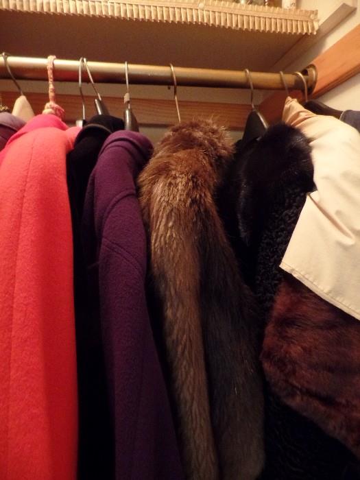 Furs and coats