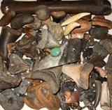 Selection of Megalodon Teeth and other Shark's Teeth and Fossils