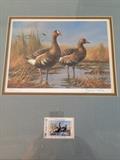 Set 6 signed and numbered Ducks Unlimited prints