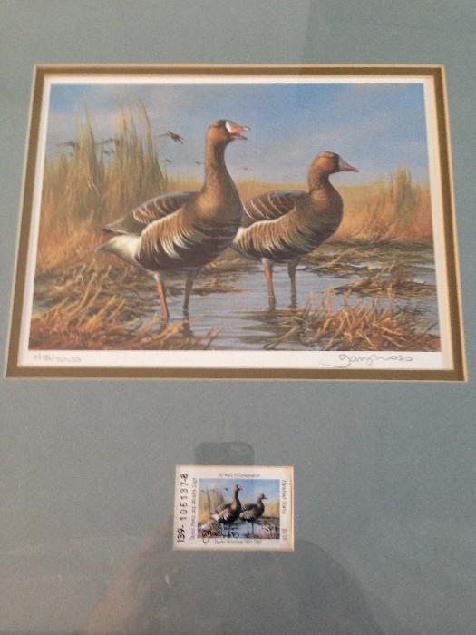 Set 6 signed and numbered Ducks Unlimited prints