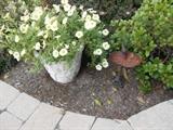 yard and garden decor items