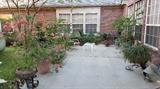 Bougainvillea's, Sago Palms, Hens & Chicks, Chiminea, Patio Chair and Table