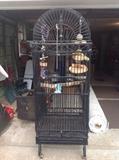 Large wrought iron parrot cage