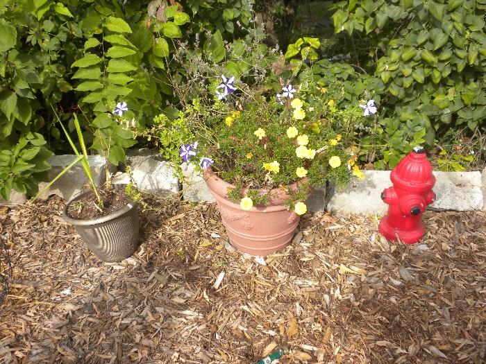 Outdoor Pots, Bird Bath and other Garden Accessories