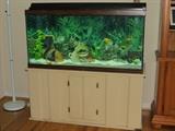 100 Gallon Aquarium with Stand and Equipment
