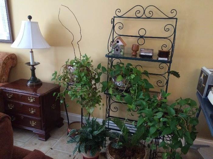 end table , lamp. plants,  bakers rack