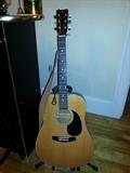Horner Acoustic Guitar