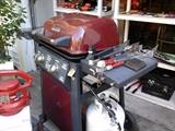 Gas grill with propane tank