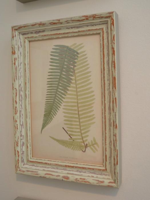 One of three fern prints