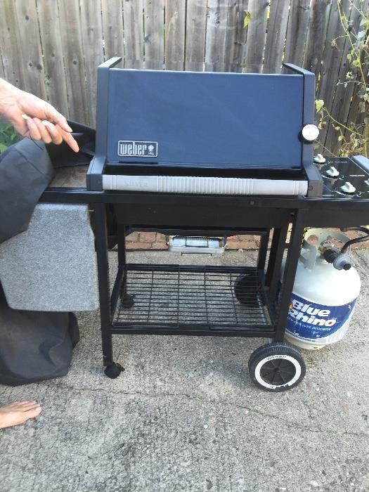 Perfect Webber grill