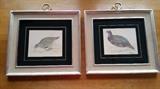 Set of Partridge framed prints