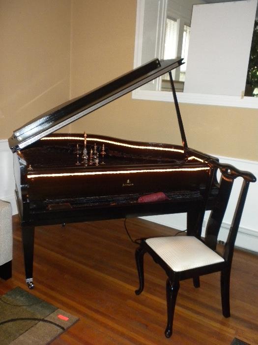 Settergren Converted Curio Baby Grand (Rope Lit and Fur Lined)