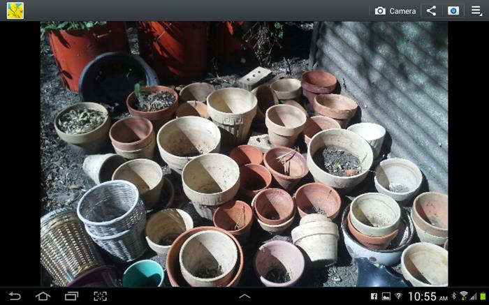 Clay Pots, and more Clay Pots