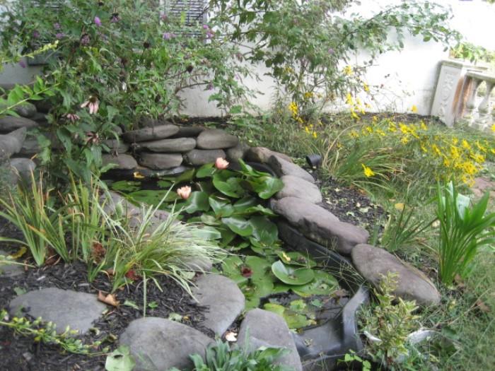 Koi Pond including Boulders, Fish and Water Lillies
