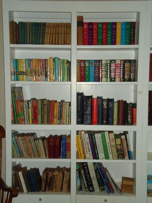 Old books, children's books, large painted bookcases