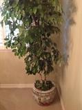 Beautiful Asian pot and artificial ficus tree 
