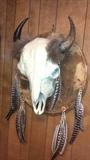 REAL BUFFALO HEAD, MOUNTED PROFESSIONALLY, COOL INDIAN AND WESTERN ART