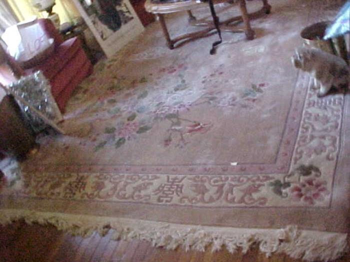 Living room rug, 9 x 12