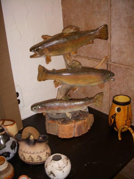 Taxidermy fish, Native American pots