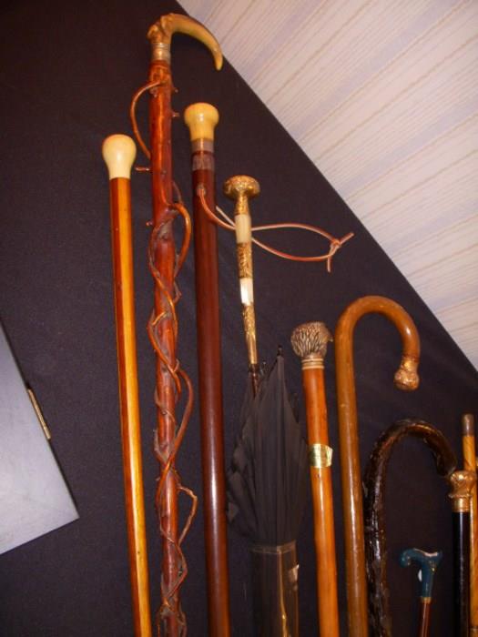 Part of cane collection