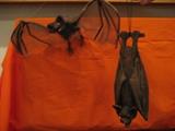 Bats galore