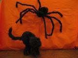 Gigantic spiders and webs and also some black cats made from real fur with piercing eyes.