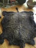FULL BUFFALO HIDE RUG WITH TAIL.  3 YEAR OLD FROM MONTANA
