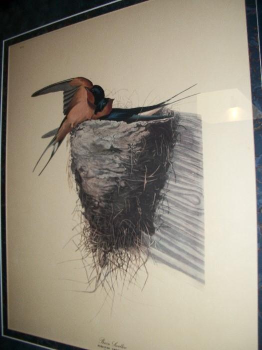 Another beautiful hand colored antique bird lithographs--There are FIVE