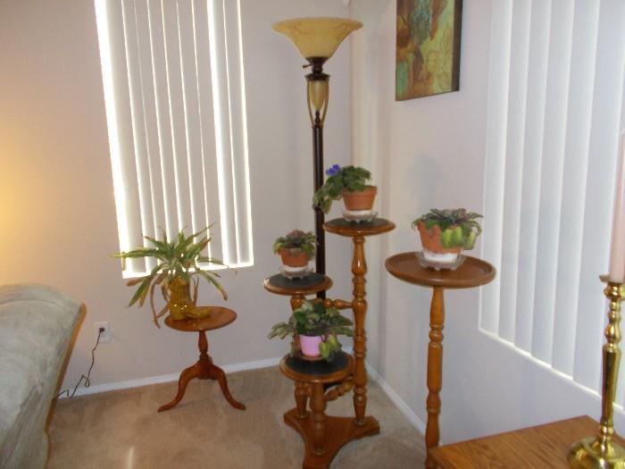 plants and plant stands and floor lamp
