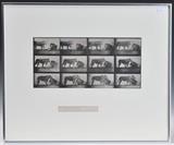 lot 283: Eadweard Muybridge
 Animal Locomotion, Plate 727 7" x 15 1/2" (image size) Collotype With printed copyright credit, title and plate number below the image in lower margin. circa 1887