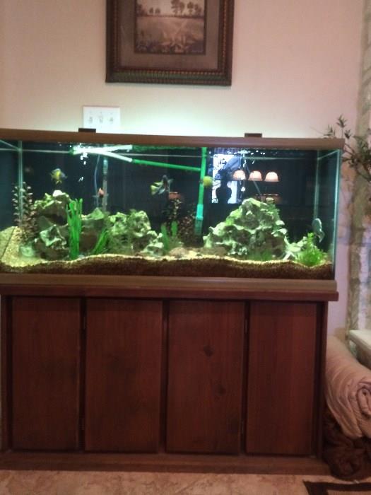 Gorgeous fish tank with oak stand; fish are African Chiclids