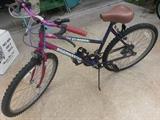 girl's bike