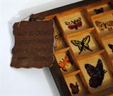E. Doelling, “Not So Crewel Lepidopterology” Crewel Embroidered Butterflys in Type Tray”